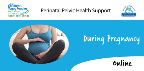 During Pregnancy -online session