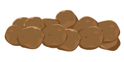 Poo 2 - Brown Sausage shaped separate lumps