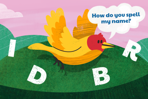 How do you spell my name illustration featuring a bird and the letters i, b, r, d