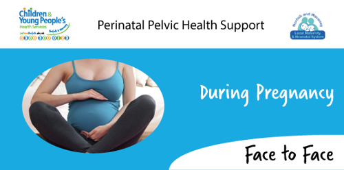 During Pregnancy - face to face advice session