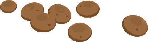 Poo 1 - Round brown hard balls of poo